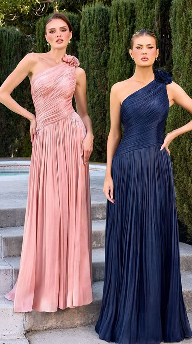 Two women stand on steps outdoors, wearing one-shoulder, floor-length evening gowns—pink on the left and navy blue on the right.
